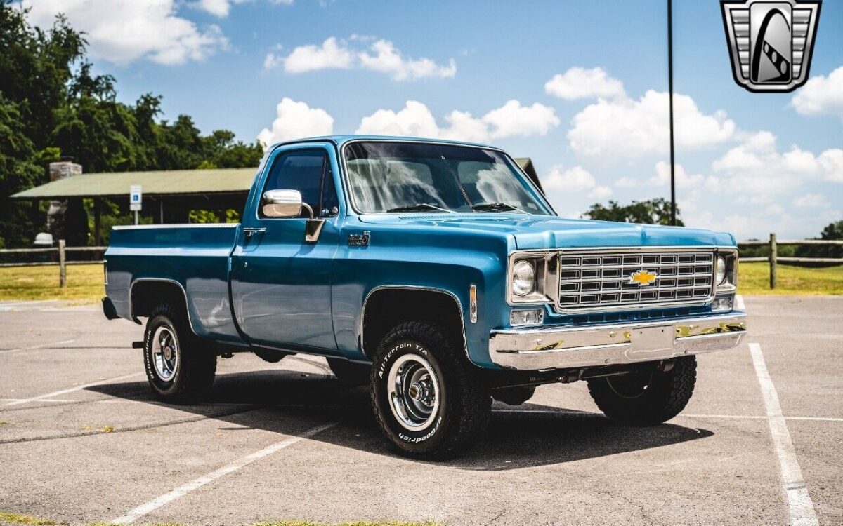 Chevrolet-Other-Pickups-Pickup-1976-8