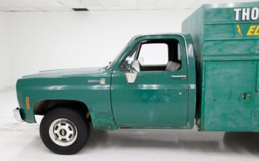 Chevrolet-Other-Pickups-Pickup-1980-1