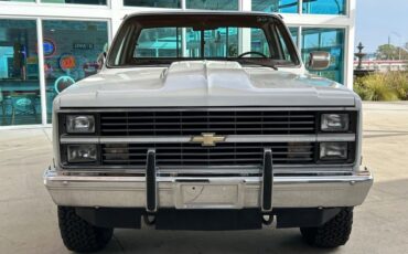 Chevrolet-Other-Pickups-Pickup-1984-1
