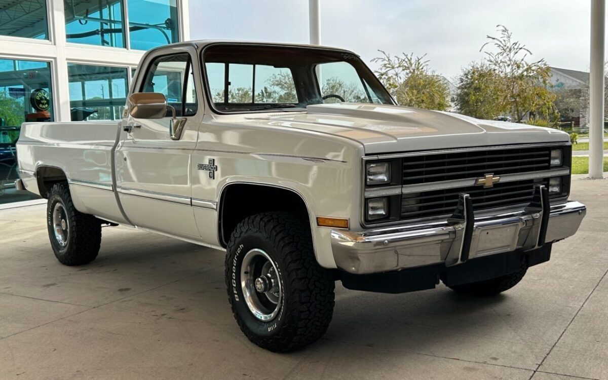 Chevrolet-Other-Pickups-Pickup-1984-2