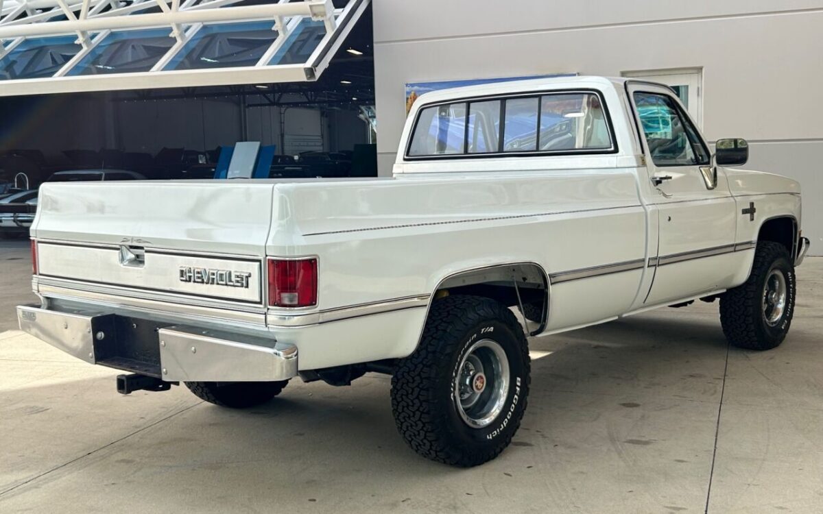 Chevrolet-Other-Pickups-Pickup-1984-4