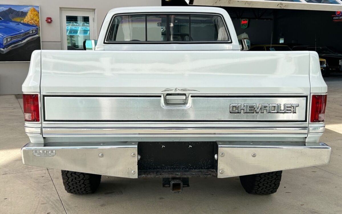 Chevrolet-Other-Pickups-Pickup-1984-5