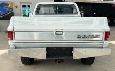 Chevrolet-Other-Pickups-Pickup-1984-5