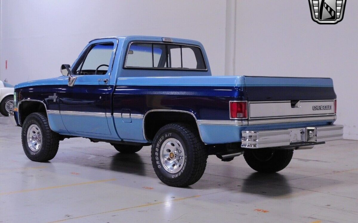 Chevrolet-Other-Pickups-Pickup-1986-3