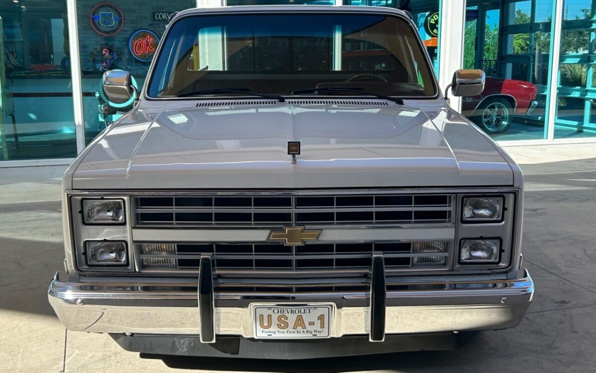 Chevrolet-Other-Pickups-Pickup-1987-1