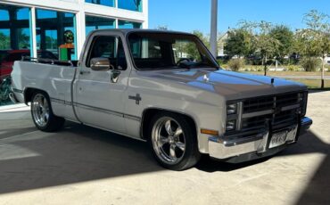 Chevrolet-Other-Pickups-Pickup-1987-2