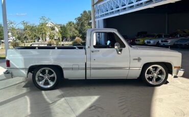 Chevrolet-Other-Pickups-Pickup-1987-3
