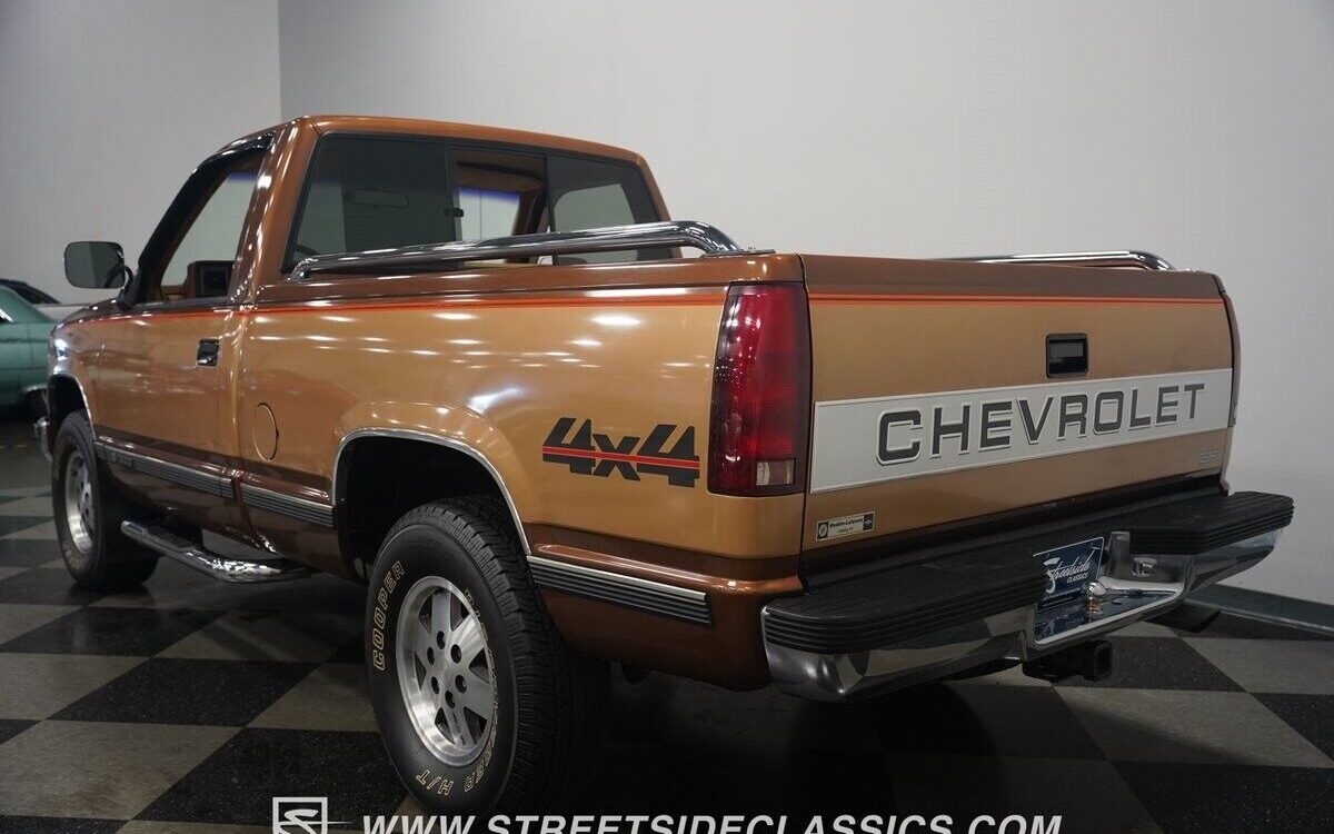 Chevrolet-Other-Pickups-Pickup-1989-11