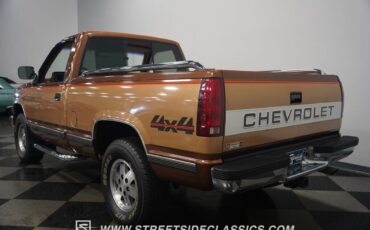 Chevrolet-Other-Pickups-Pickup-1989-11