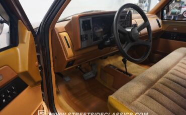 Chevrolet-Other-Pickups-Pickup-1989-3