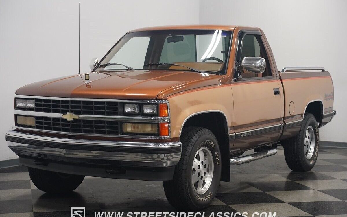 Chevrolet-Other-Pickups-Pickup-1989-5