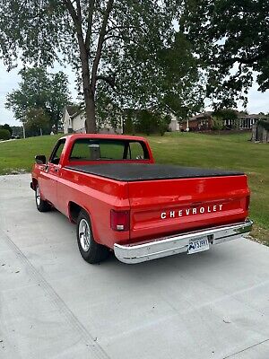 Chevrolet-Pickup-1977-12