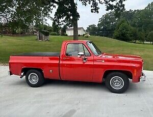 Chevrolet-Pickup-1977-16