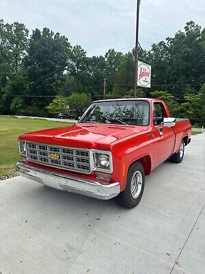 Chevrolet-Pickup-1977-3