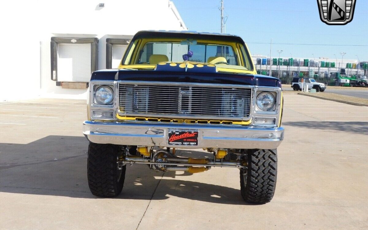 Chevrolet-Silverado-1500-1977-6