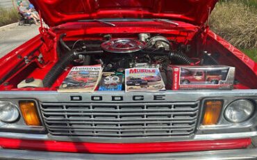 Dodge-Other-Pickups-Pickup-1978-2