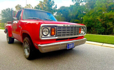 Dodge-Other-Pickups-Pickup-1978-7