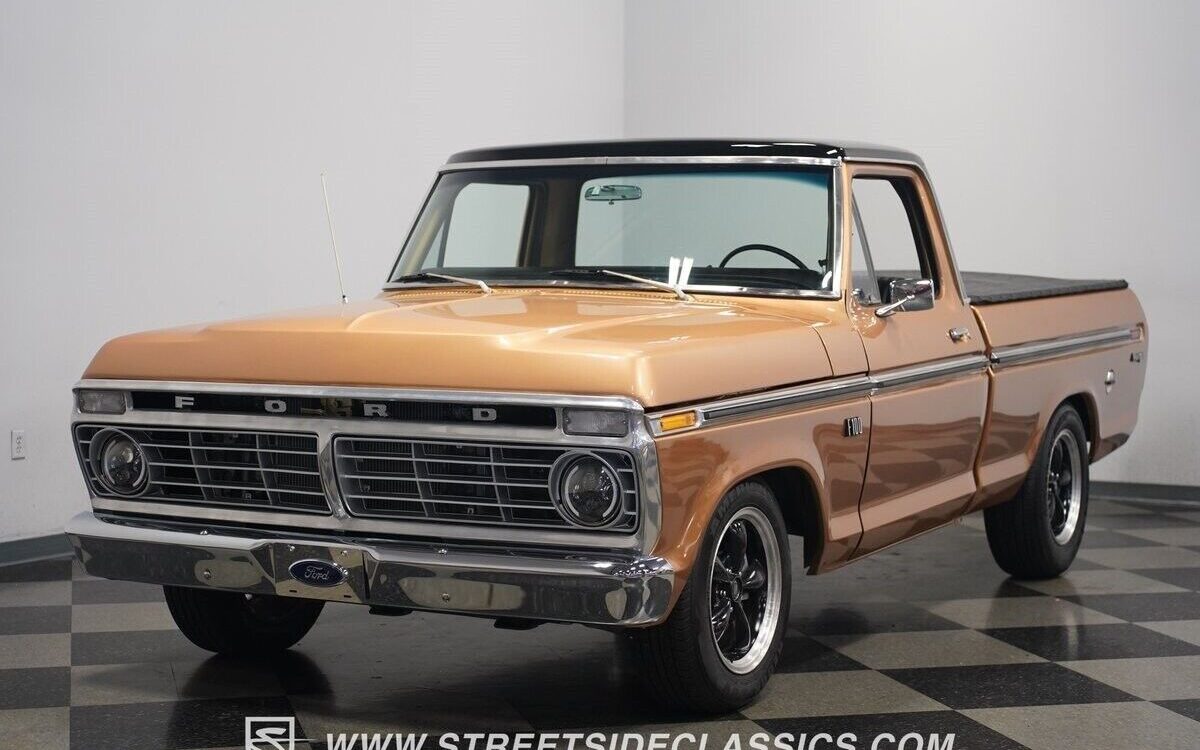 Ford-F-100-1974-6