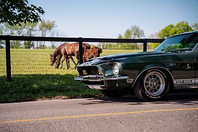 Ford-Mustang-Shelby-GT500-Coupe-1968-13