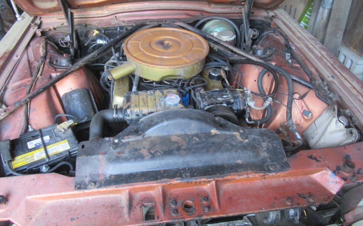 Ford-Thunderbird-Cabriolet-1965-5