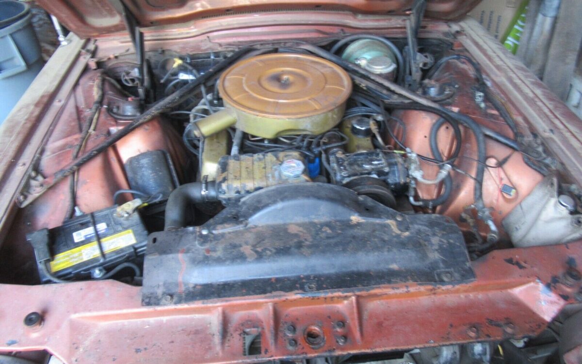 Ford-Thunderbird-Cabriolet-1965-6