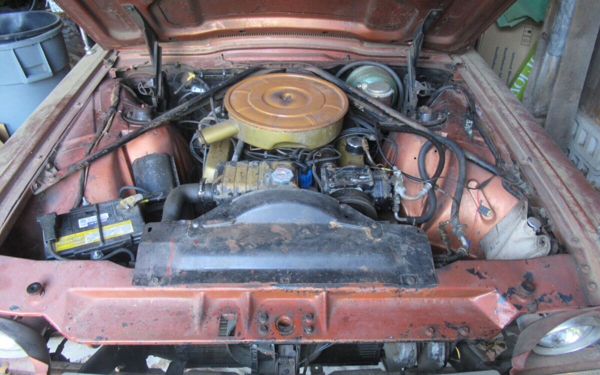 Ford-Thunderbird-Cabriolet-1965-7