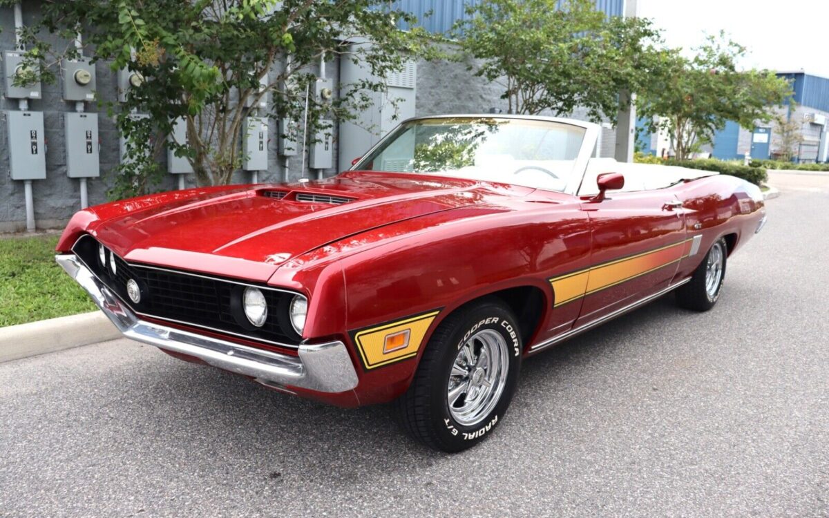 Ford Torino  year1}