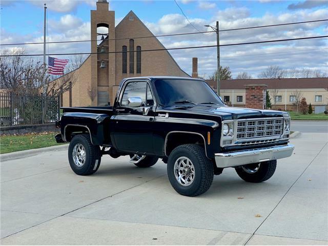 GMC-Sierra-1500-Pickup-1978-4