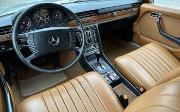 Mercedes-Benz-400-Series-1973-35