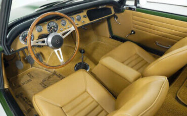 Other-Tiger-Cabriolet-1965-16