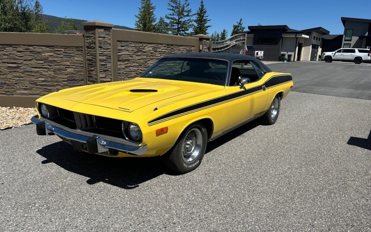 Plymouth Cuda  year1}