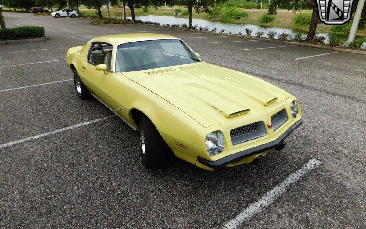 Pontiac-Firebird-1974-6
