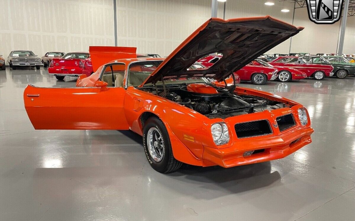 Pontiac-Firebird-1976-11