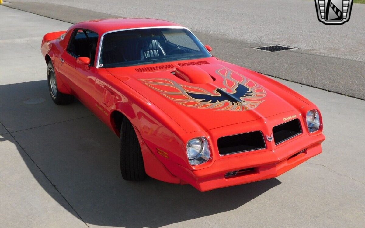 Pontiac-Firebird-1976-6