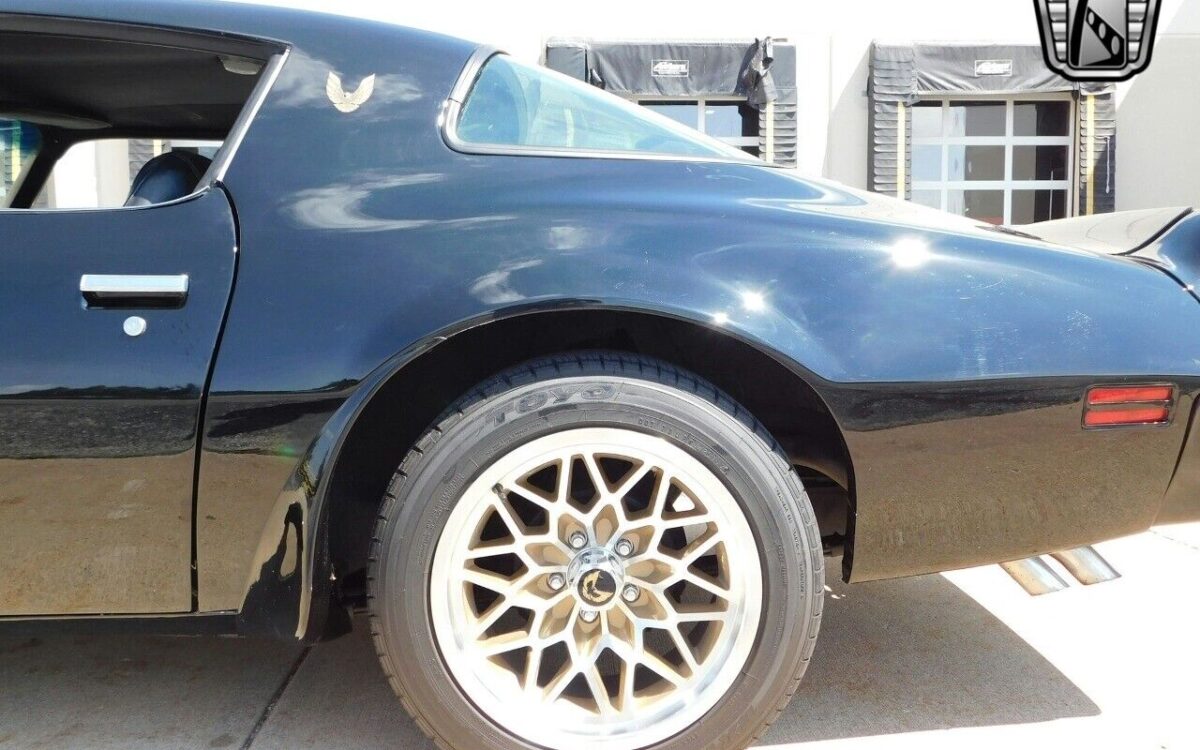Pontiac-Firebird-1978-9