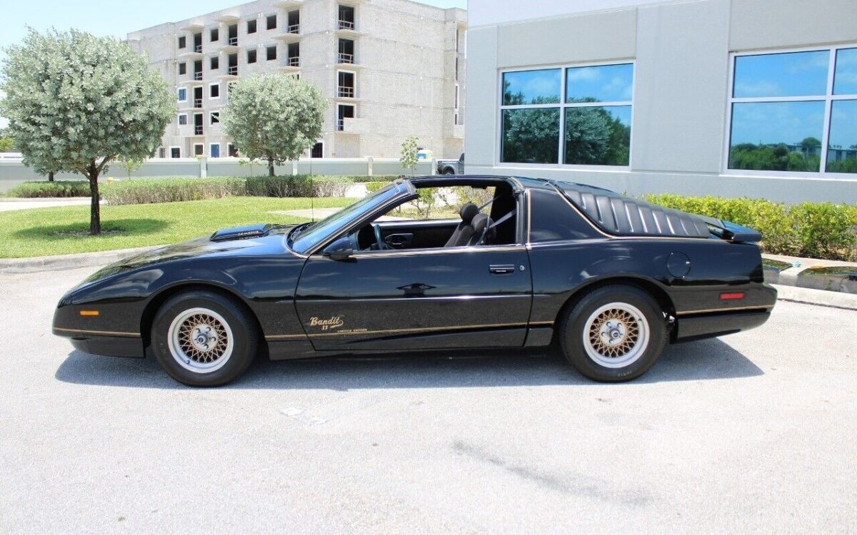 Pontiac-Firebird-Coupe-1991-4