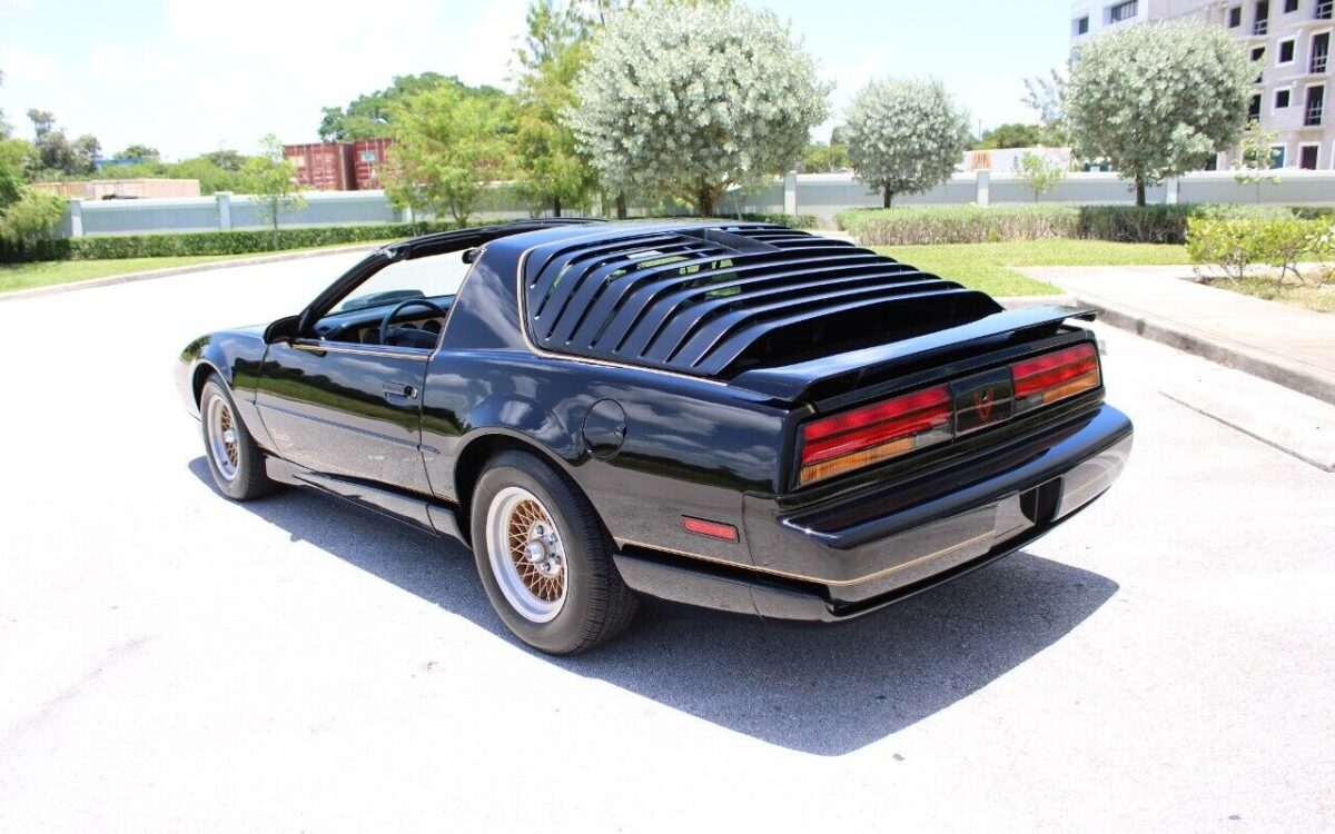 Pontiac-Firebird-Coupe-1991-5
