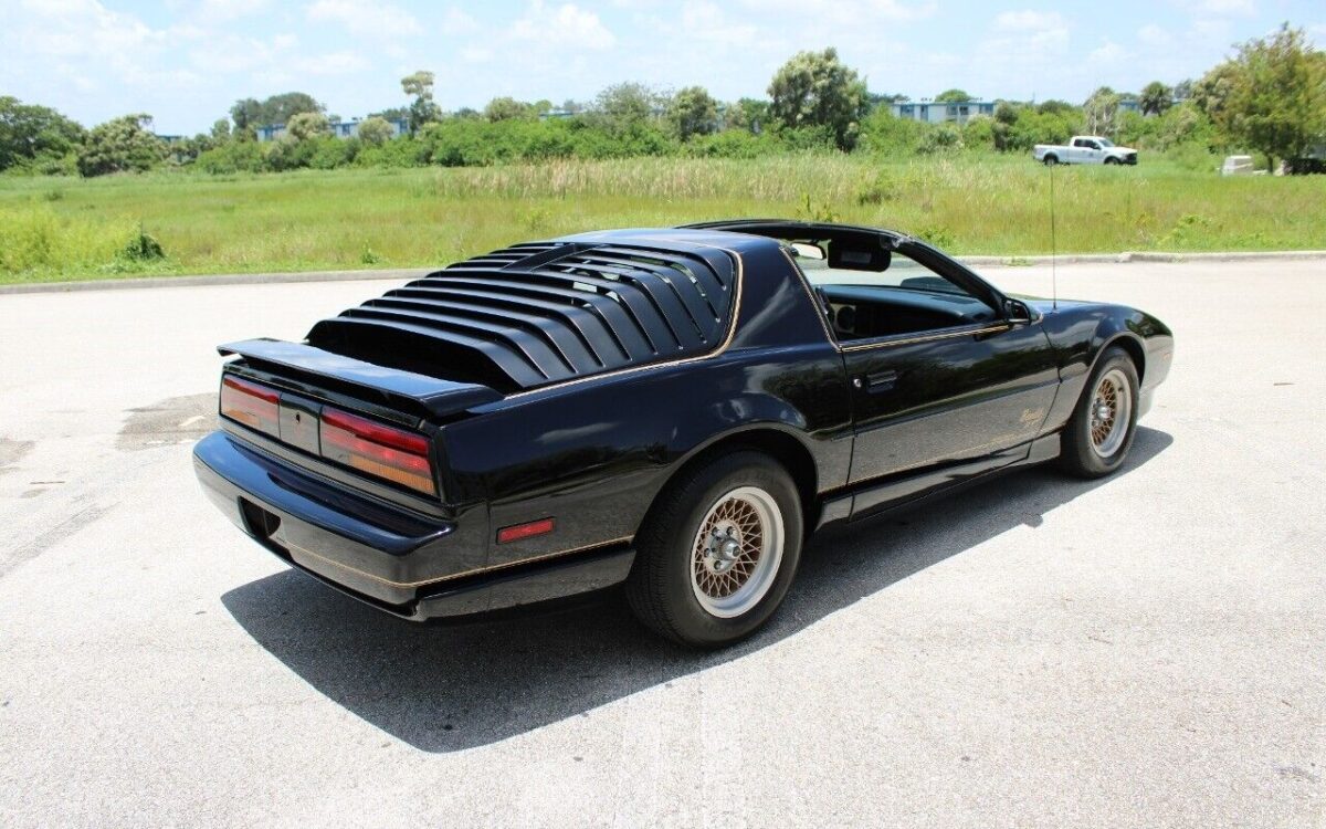Pontiac-Firebird-Coupe-1991-7