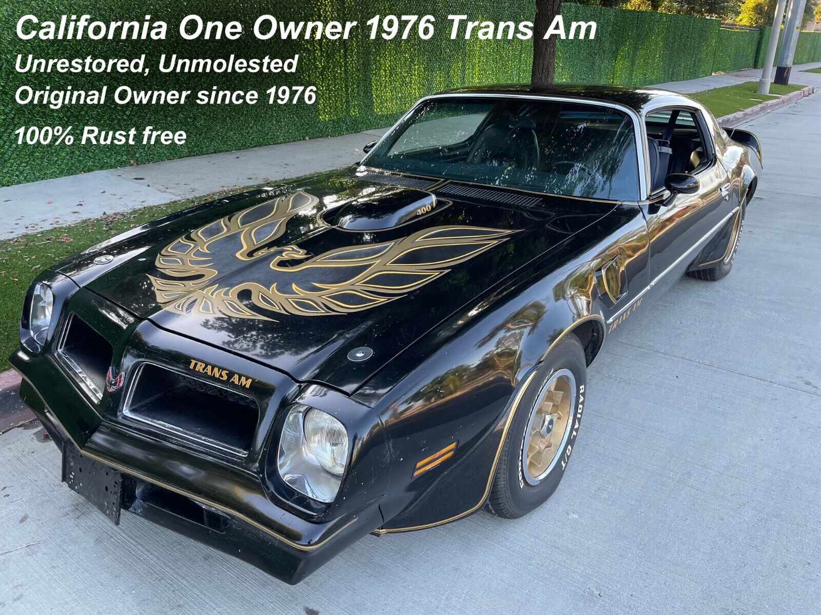 Pontiac Trans Am Coupe 1976 à vendre