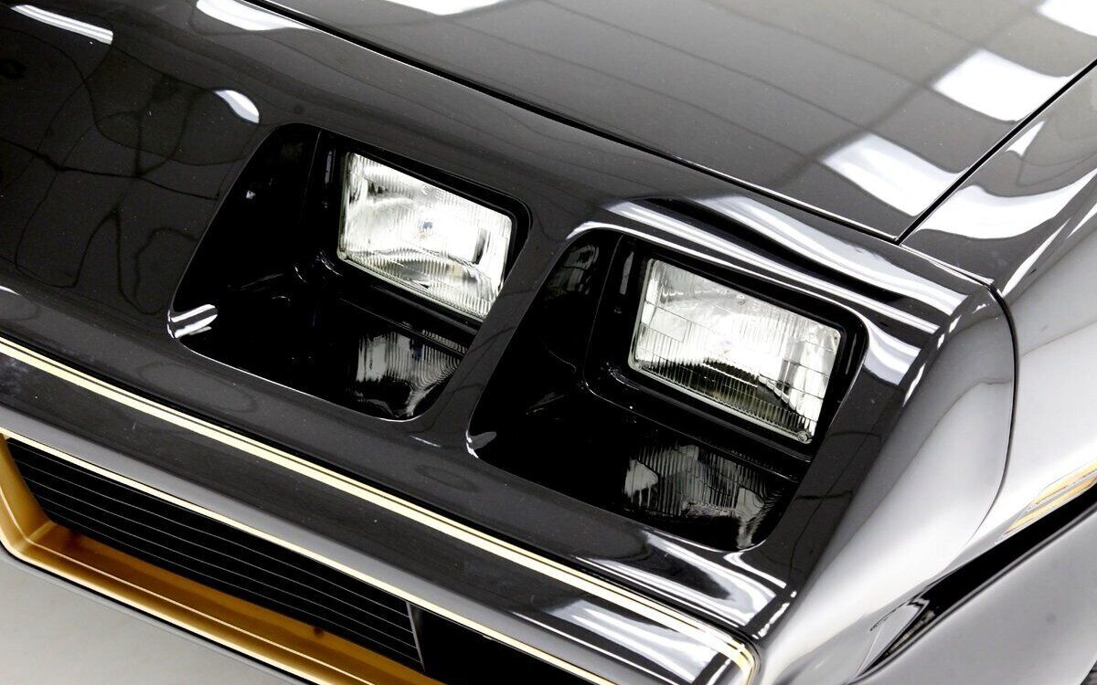 Pontiac-Trans-Am-Coupe-1981-11