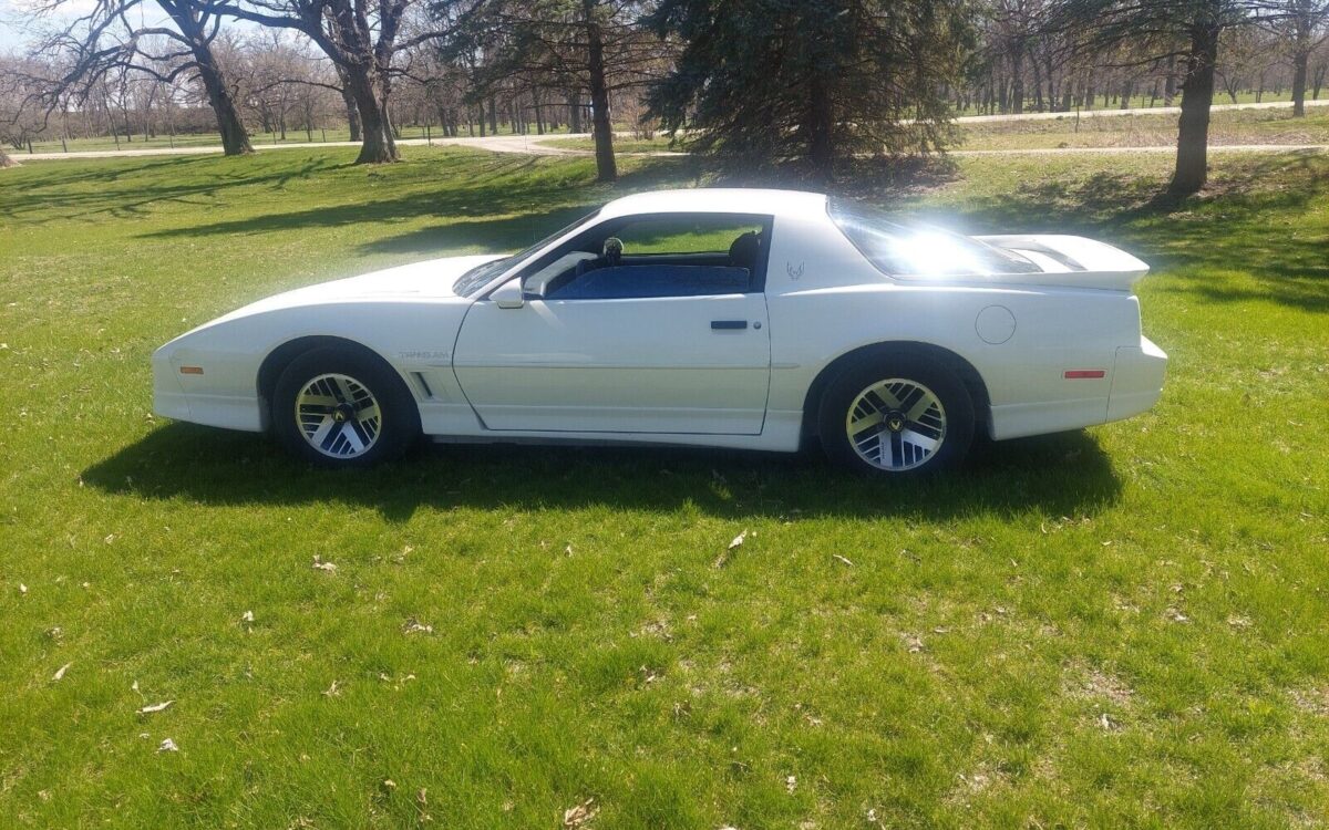 Pontiac-Trans-Am-Coupe-1988-3