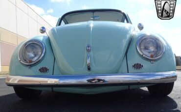 Volkswagen-Beetle-Classic-1964-10