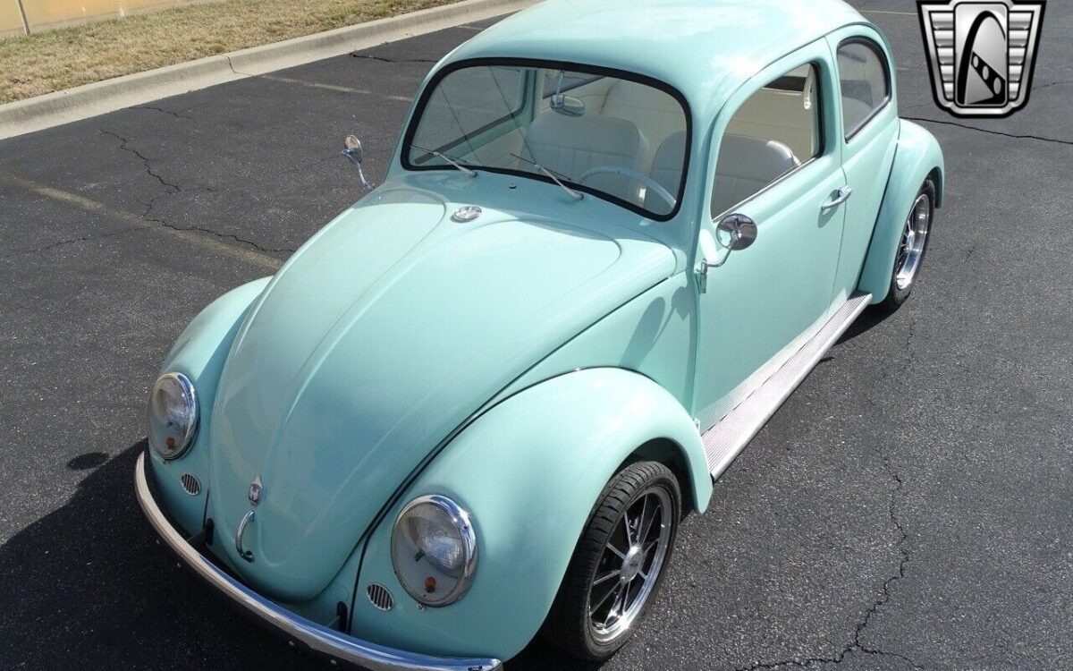 Volkswagen-Beetle-Classic-1964-2