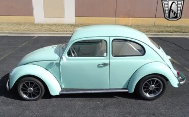 Volkswagen-Beetle-Classic-1964-3