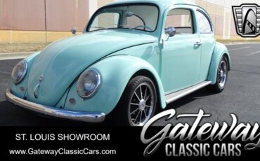 Volkswagen Beetle - Classic  1964