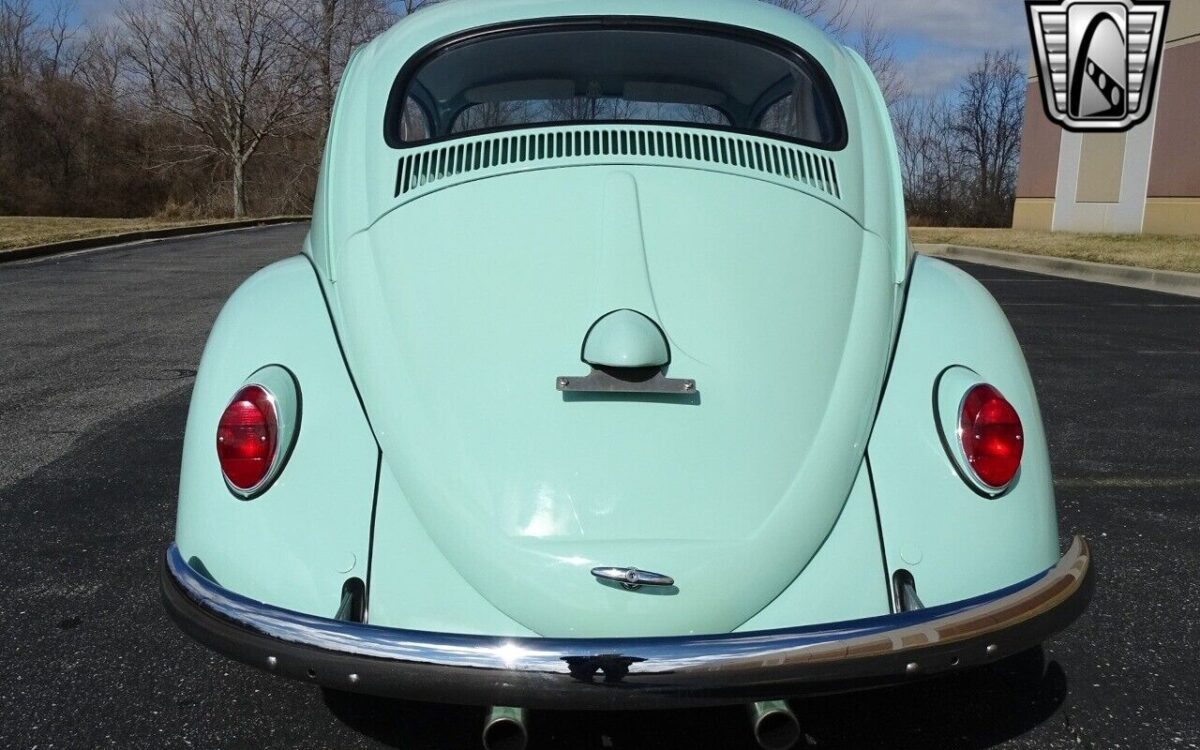 Volkswagen-Beetle-Classic-1964-6