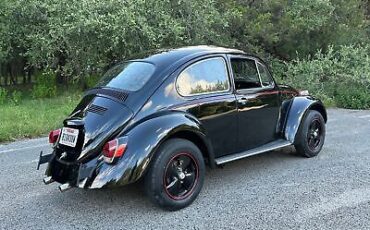 Volkswagen-Beetle-Classic-1970-6