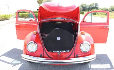Volkswagen-Beetle-Classic-1971-10