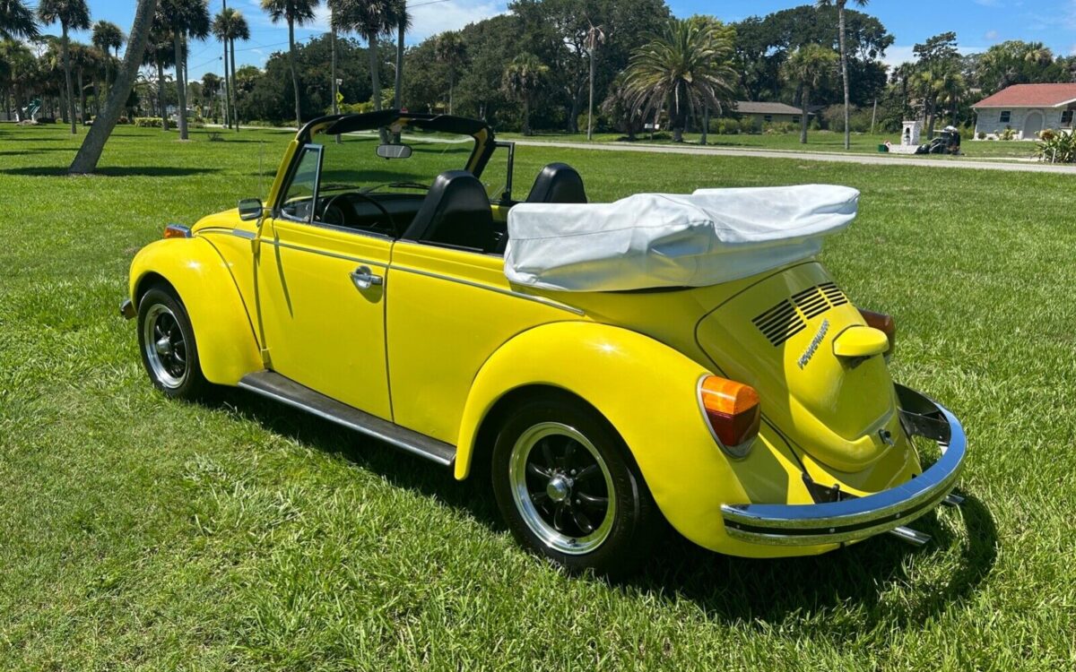 Volkswagen-Beetle-Classic-1973-7