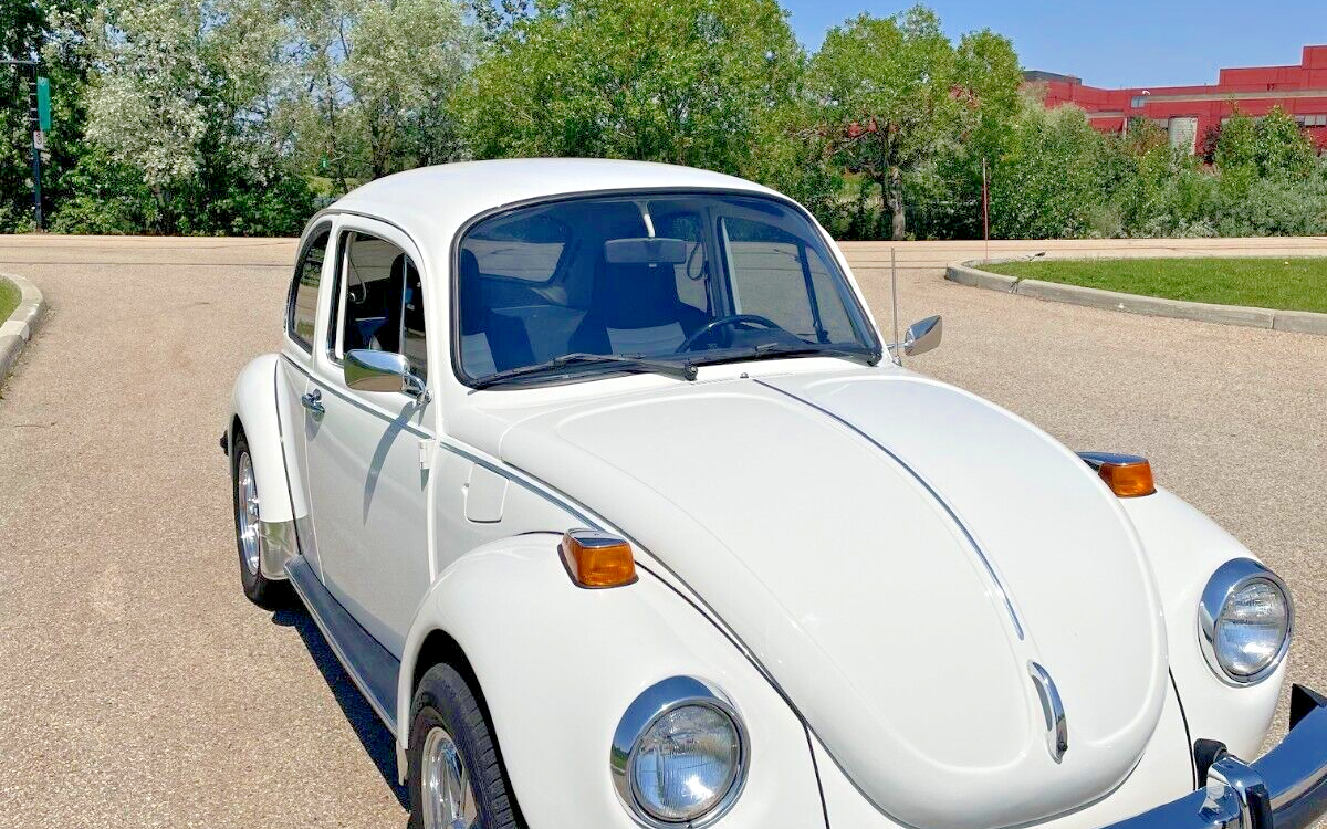 Volkswagen-Beetle-Classic-1974-1